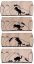 8 BANDES ANIMATOR 1870 — vue 4