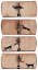 8 BANDES ANIMATOR 1870 — vue 7