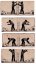 8 BANDES ANIMATOR 1870 — vue 5